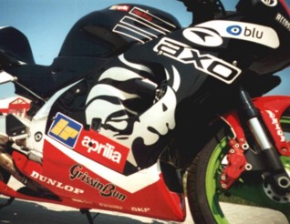 RSV 1000 Detail